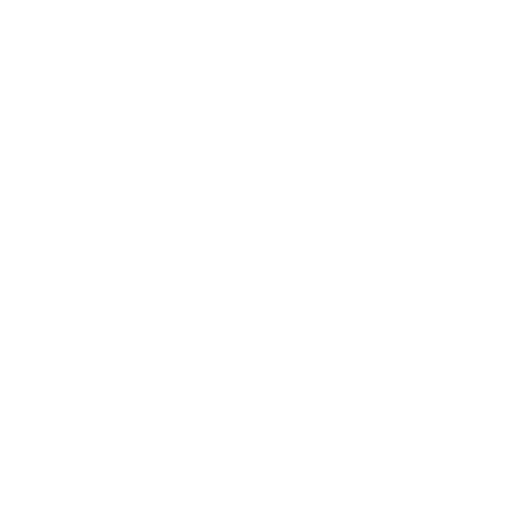 NetraMusic Logo