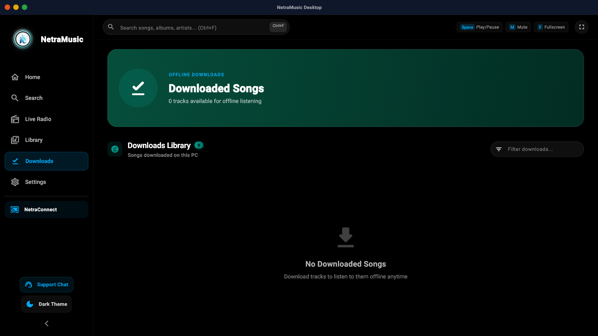 Downloads Manager